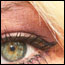 Foto Nr. 6 - Genre: Portrait Akt . 